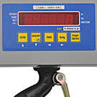 Low Capacity Hanging Scale