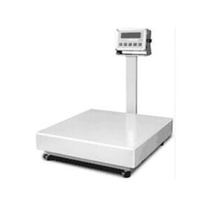 Bench Scales