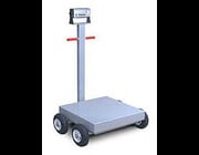 Custom Portable Platform Scale