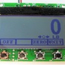 / Programs & Custom Scale Electronics
