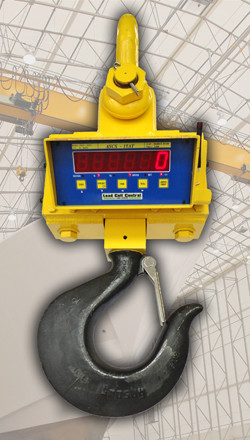 Industrial Crane Scale