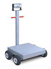 Custom Scale